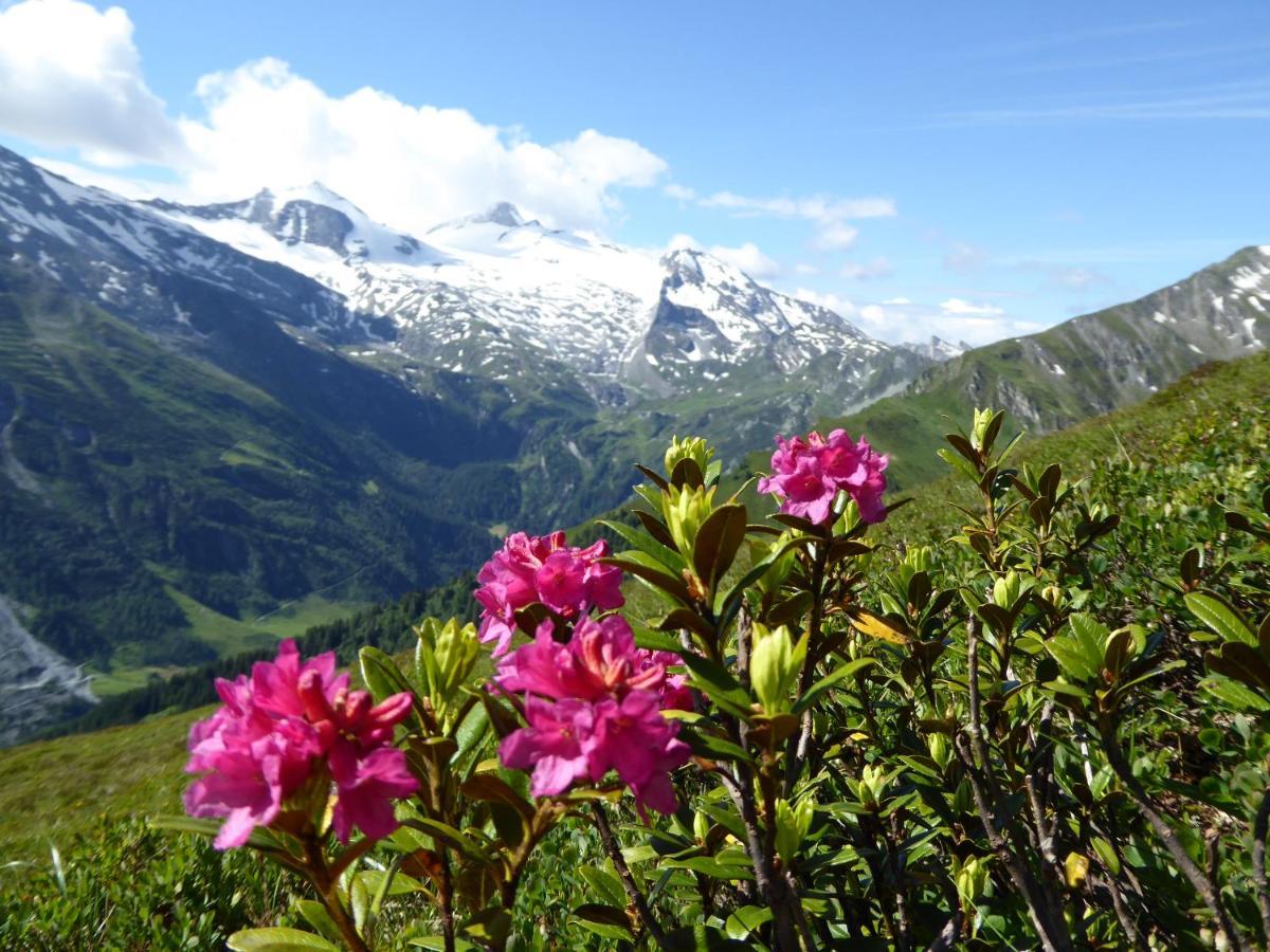 Alpenrose Tux公寓 外观 照片